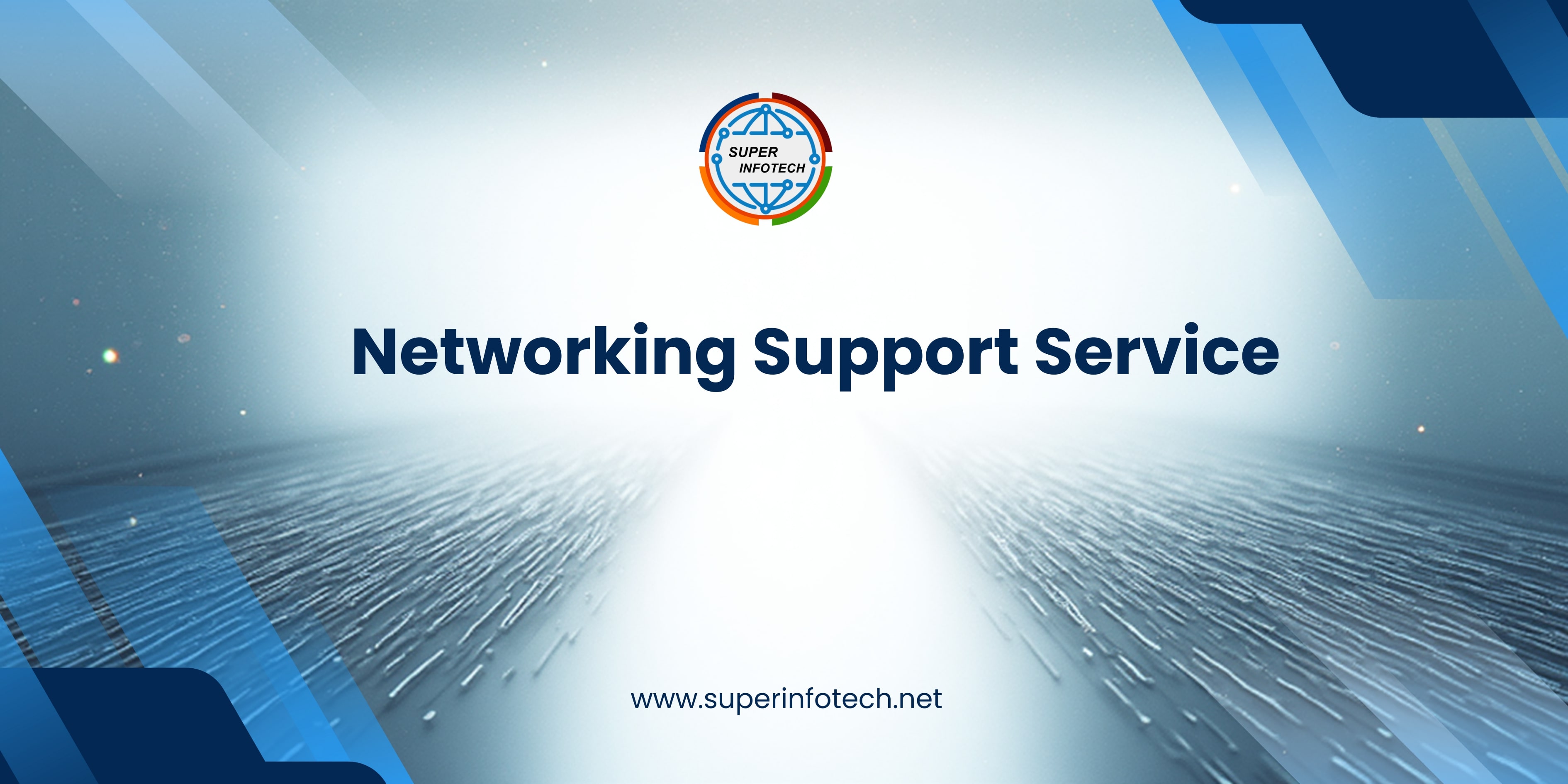 Networking Support Service in Noida